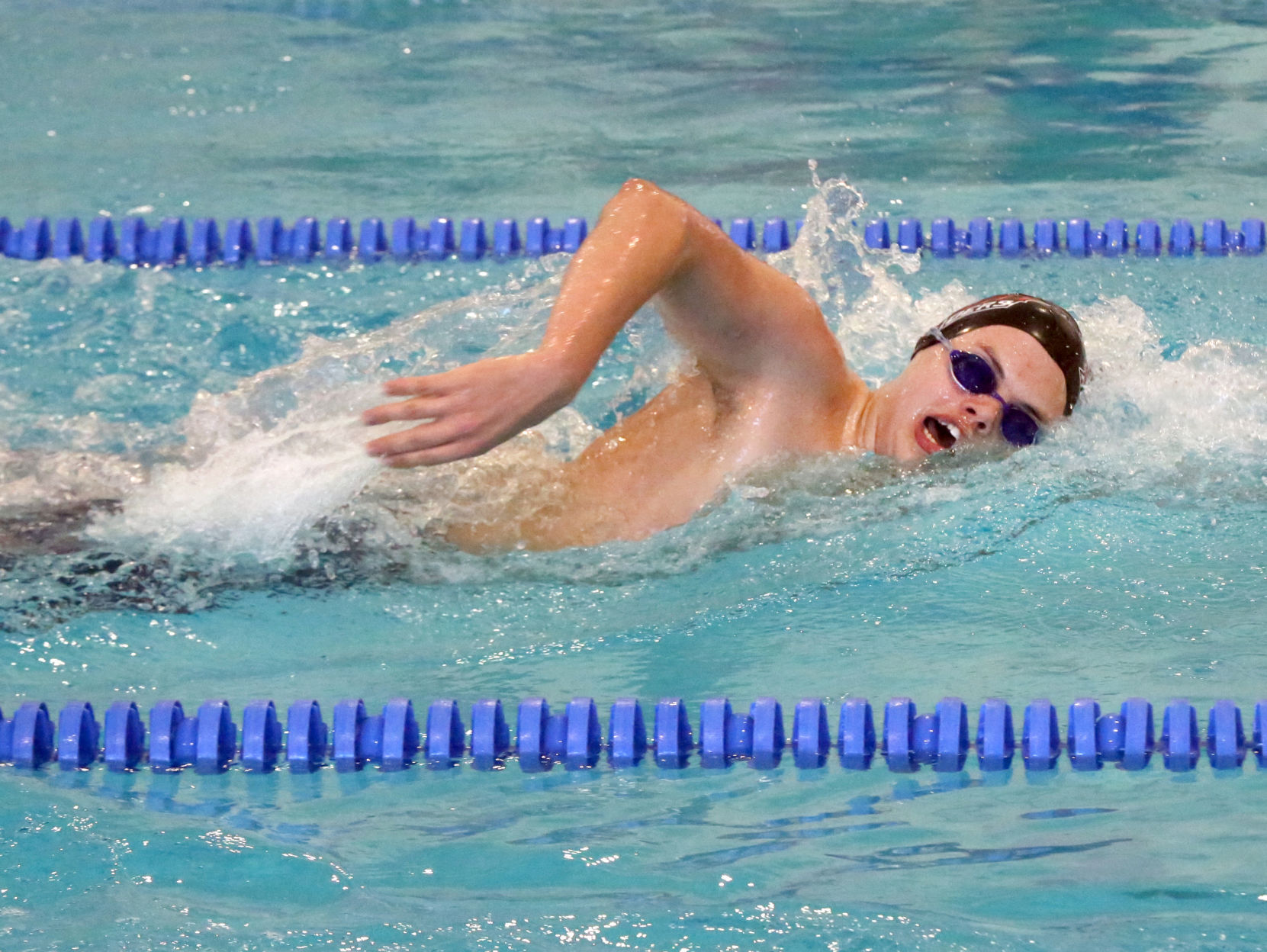 Ocean City Ridley Swimming